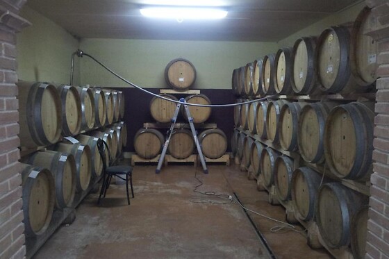 Cantina Eraldo Dentici - photo 3