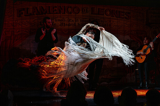 FLAMENCO DE LEONES - photo 1