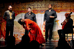 FLAMENCO DE LEONES