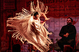 FLAMENCO DE LEONES