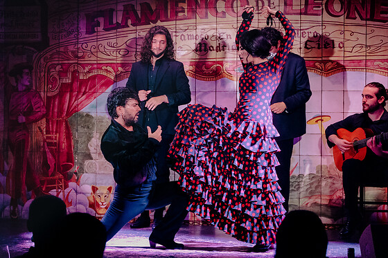 FLAMENCO DE LEONES - photo 6