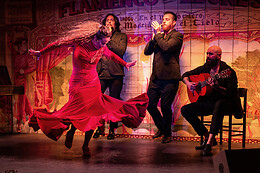 FLAMENCO DE LEONES