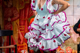 FLAMENCO DE LEONES
