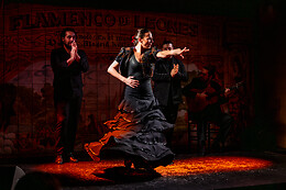 FLAMENCO DE LEONES
