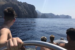 MÓN D'AVENTURA
