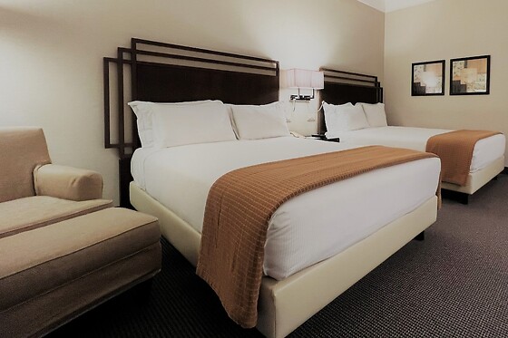 Online Booking EPS - photo 2