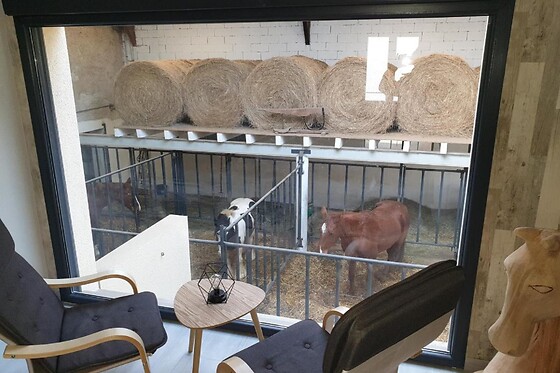 Equi-Lodges - photo 5