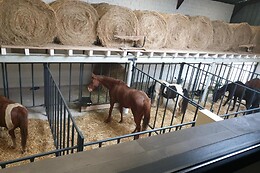 Equi-Lodges