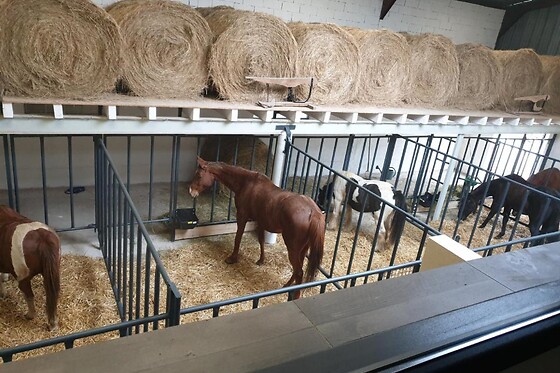 Equi-Lodges - photo 7