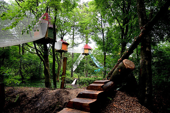 Wow park - photo 0