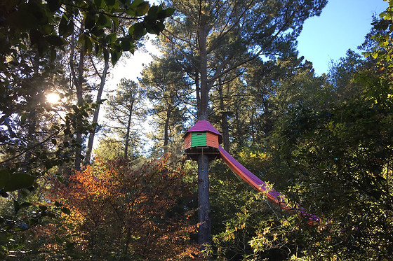 Wow park - photo 4