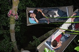 Hêtre en Forez