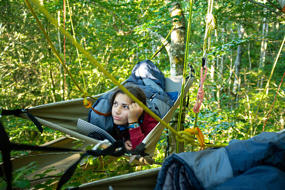 Hêtre en Forez - photo 4