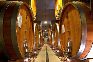 Degustazione e visita alle cantine presso Casa Francoli in provincia di Novara