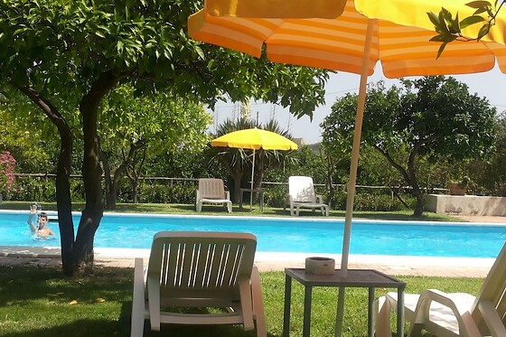 Online Booking EPS - photo 3