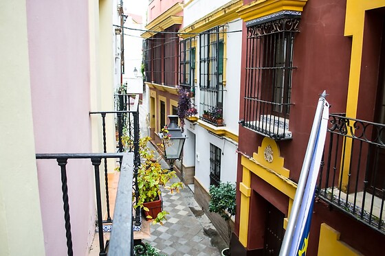 Online Booking EPS - photo 2