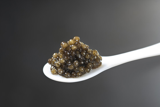 CAVIAR DE NEUVIC - photo 2