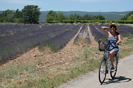 Sun E Bike
