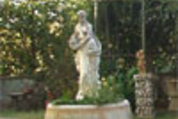 Il Cavallone Azienda Agricola - Azienda Agricola Il Cavallone di Nardi Francesco