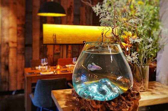 Oh Restaurant - photo 6