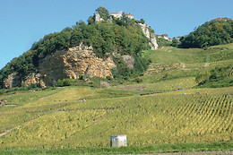 Domaine geneletti