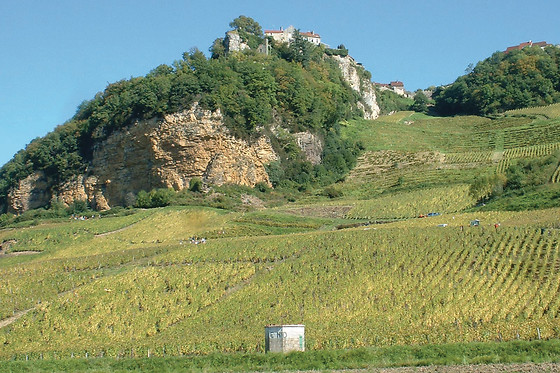 Domaine geneletti - photo 2