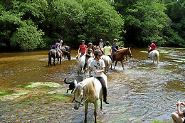 Ferme Equestre Des Ribières