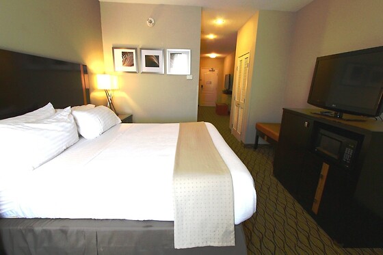 Online Booking EPS - photo 2