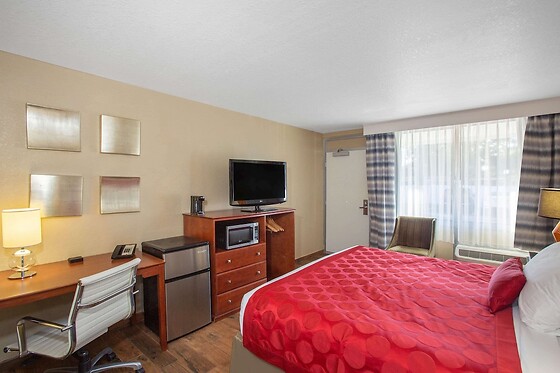 Online Booking EPS - photo 6