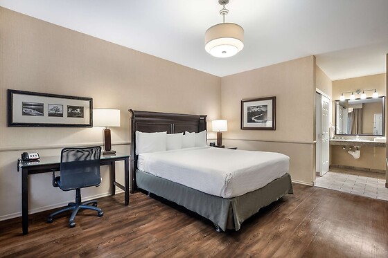 Online Booking EPS - photo 9