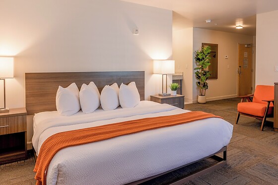 Online Booking EPS - photo 2