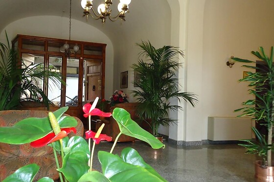 Online Booking EPS - photo 4