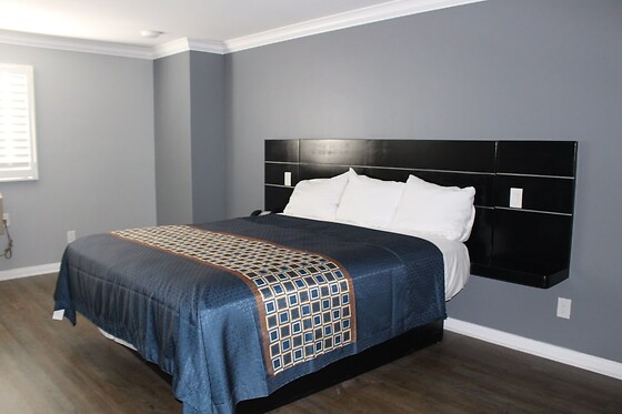 Online Booking EPS - photo 0