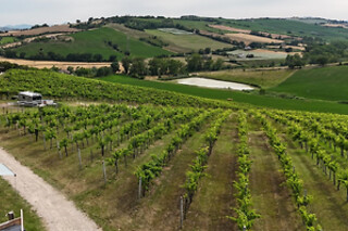 Cena gourmet con vino pregiato all'Azienda Agricola Bartolacci in provincia di Pesaro e Urbino