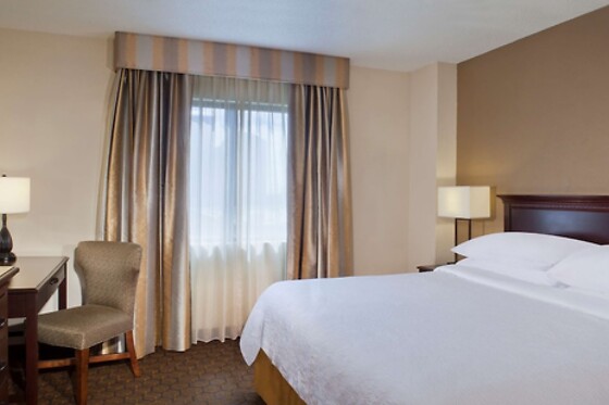 Online Booking EPS - photo 7