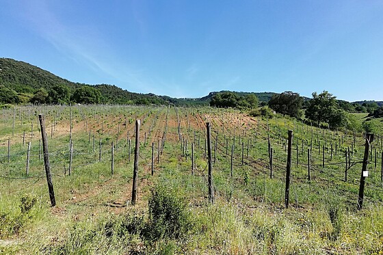Agriturismo Ceratti - photo 2