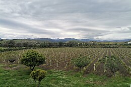 Agriturismo Ceratti