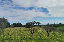 Agriturismo Ceratti