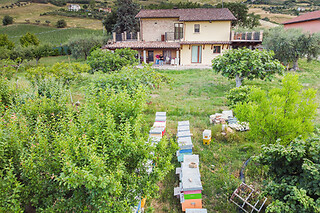Soggiorno di una notte presso B&B Alveare di Rita a Maltignano in provincia di Ascoli Piceno