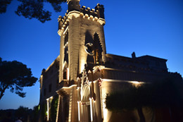 BODEGAS TORRE DEL VEGUER