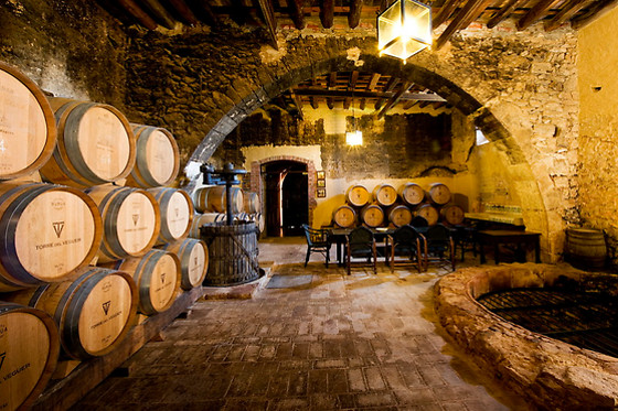 BODEGAS TORRE DEL VEGUER - photo 1
