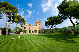 BODEGAS TORRE DEL VEGUER