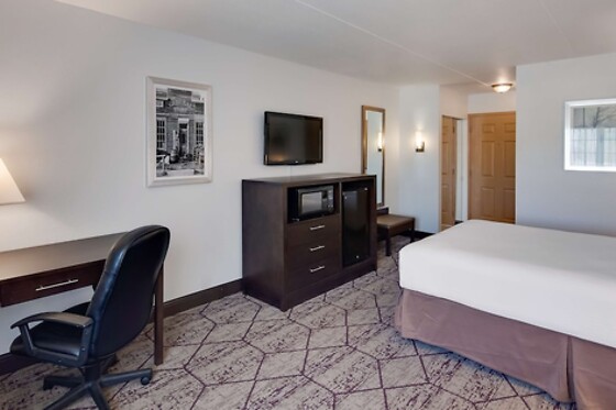 Online Booking EPS - photo 10