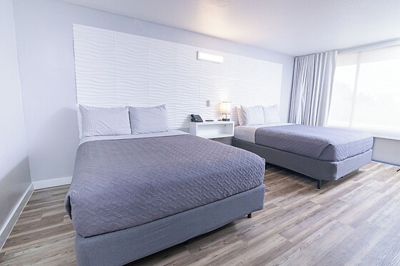 Online Booking EPS - photo 3