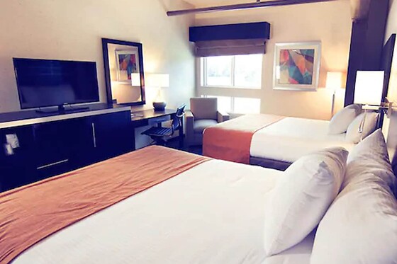 Online Booking EPS - photo 3