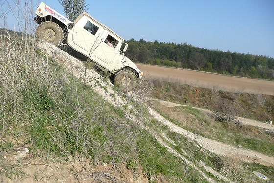 GEA FORESTAL ECO TURISMO ACTIVO - photo 5