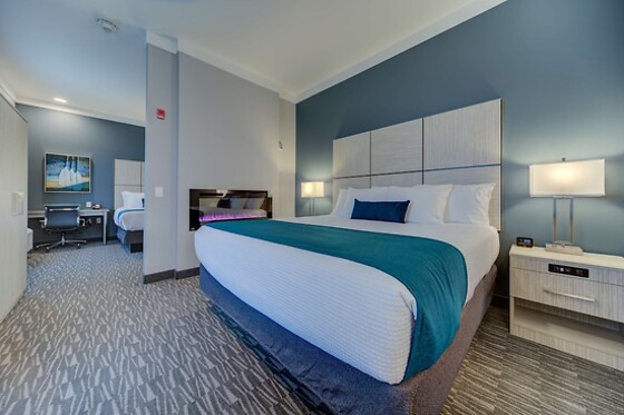 Online Booking EPS - photo 0