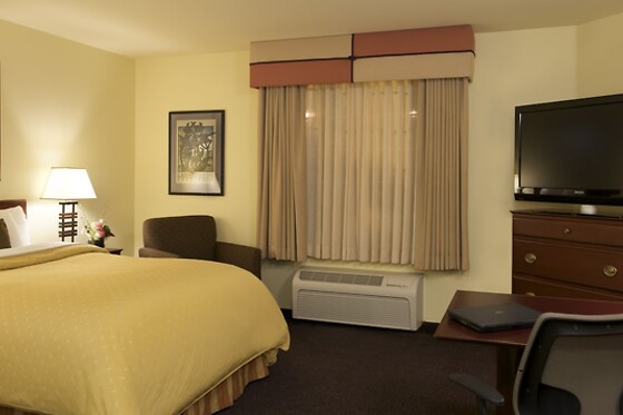 Online Booking EPS - photo 7