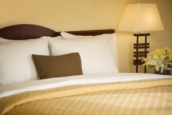 Online Booking EPS - photo 8