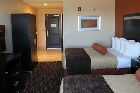 Online Booking EPS - photo 5